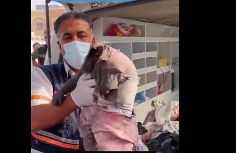 ”Αγαπητέ Bibi”! Ο Bibi αποκεφαλίζει  bébés… ΑΠΟΚΕΦΑΛΙΖΟΥΝ ΠΑΙΔΙΑ με βόμβες… Η Σιωνιστική σαρία σκοτώνει με τζιχαντιστικό τρόπο.. (βίντεο)